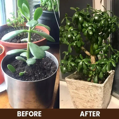 (BUY 1 GET 1 FREE) RootRevive® Soil Activator - High-Power Soil Rejuvenation Formula