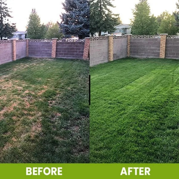 (BUY 1 GET 1 FREE) RootRevive® Soil Activator - High-Power Soil Rejuvenation Formula